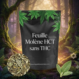 Feuille Molène HCT sans THC
