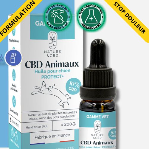 Huile CBD Chien Anti douleur 10% naturel