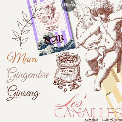 Dark Chocolate Fleur de Sel - Tablet 100G - Les Canailles