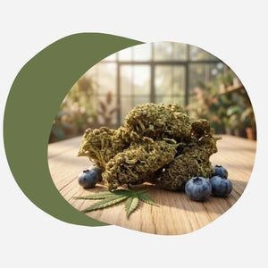 Fleurs CBD Greenhouse