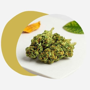 Fleurs CBD Puissante Indoor
