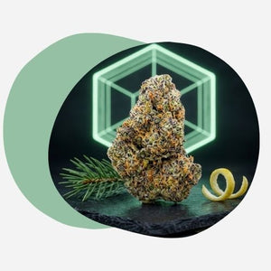 Fleurs CBD Puissantes – N7T (NZT 14), Delta CSA14, HCT & T9HC