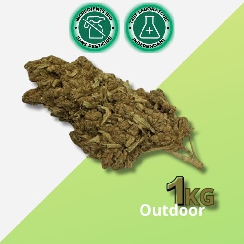 Fleur de CBD Tonic Kush 1KG - Déstockage Quantité Limitée | Outdoor