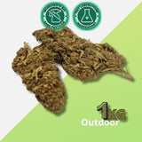 Fleur de CBD Tonic Kush 1KG - Déstockage Quantité Limitée | Outdoor