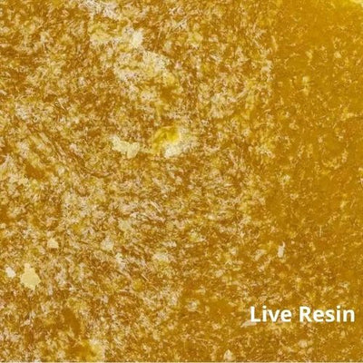 Crumble Live Resin CBD : Une Explosion d’Arômes et de Bienfaits