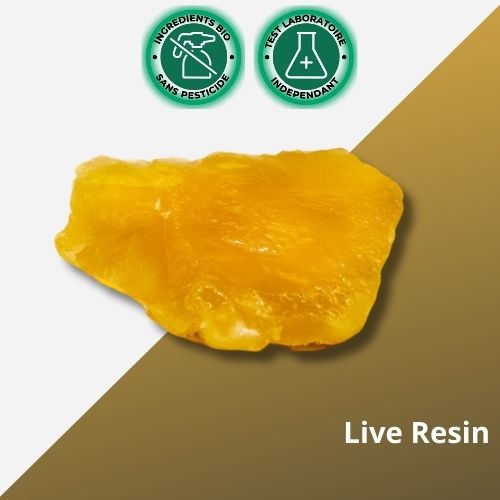 Crumble Live Resin CBD : Une Explosion d’Arômes et de Bienfaits