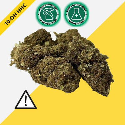 Fleur 10-OH-HHC Amnesia 15% Premium | Intense