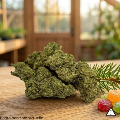 Candy Kush strain, Greenhouse grown, cbdx