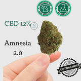 Fleur de CBD Amnesia 2.0 Indoor Premium