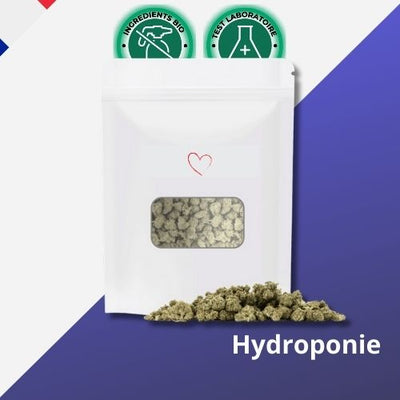 Fleur de CBD Hydroponie AMNESIA 2.0 - Small Bud