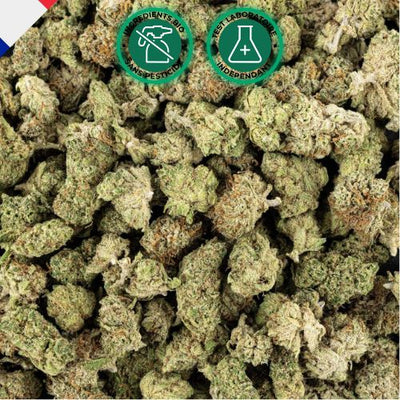 Fleurs CBD Small Bud Lifter US Premium | Hydroponie