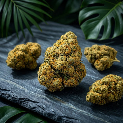 premium Buddha Fruit CBD hemp flower bud, chunky and dense structure, lime green and golden-olive hues with bright fiery-orange and amber pistils, heavily covered in sparkling sugary trichomes