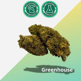 CBD Flower Chem Crush | Kasvihuone