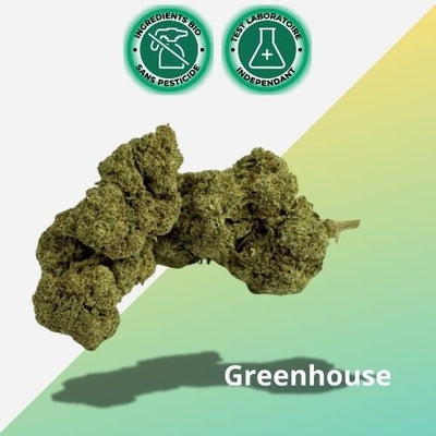 Fleur de CBD Grape Gas 14% | Greenhouse