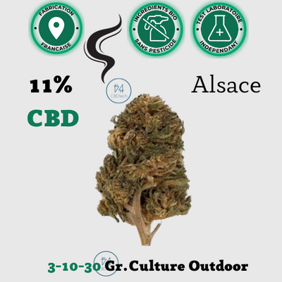 Flower CBD Natural Weed Alsace ≈11% 