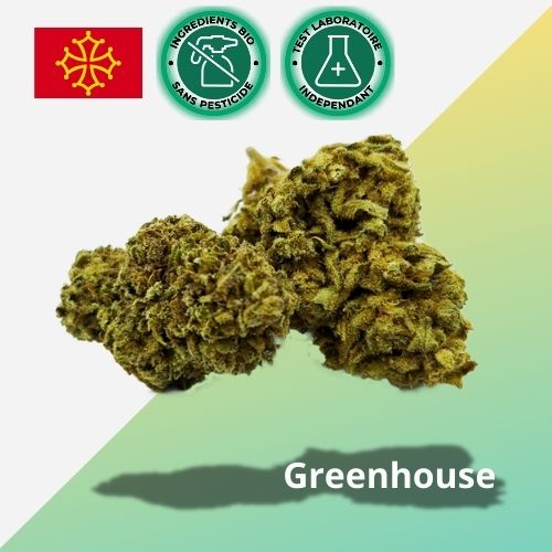 Fleurs CBD Sour Diesel Occitanie | Greenhouse