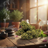 Fleur de CBD Sour Lime Haze | Greenhouse