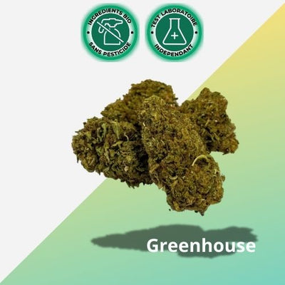 Fiore CBD Sour Lime Haze | Serra