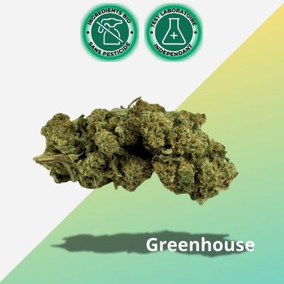 Fleur de CBD Super White Frost 15% | Greenhouse