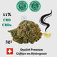 Fleur CBD CBDa Puissante Premium Super Lemon Haze ≈11%