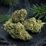 CBD hemp flower bud (AK-47 strain, Indoor grown)