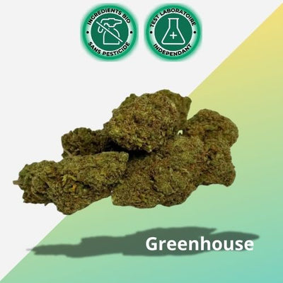 Fleurs CBD Amnesia | Greenhouse