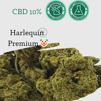 CBD Fleur Harlequin Premium