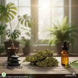 FLEUR CBD Orange Bud | Greenhouse