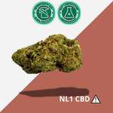 Fleur CBD + NL1 Royal Boss Weed 10% – Premium