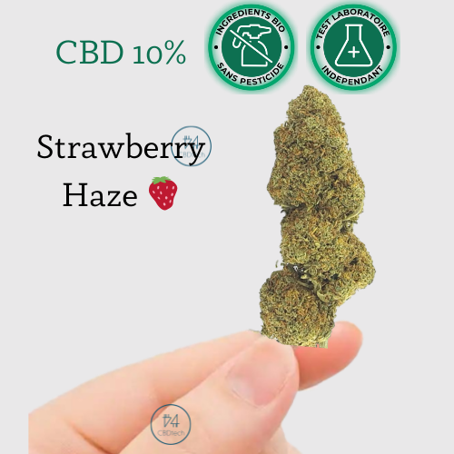 Fleur CBD Strawberry haze ≈10%