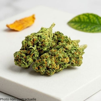 Fleur CBD Tropical Haze Premium | Indoor