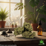 ambiance zen et fleur cbd withe widow sur la table
