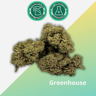 Fleurs CBD White Widow | Greenhouse