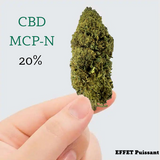 Fleur de CBD MCP-N 20% Premium