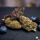 hemp flower bud cbdx Purple Haze strain, Indoor grown