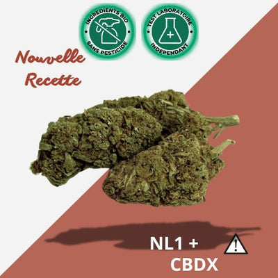 Flower Tropical Haze 2.0 CBDX (CBD Xtrem) NL-1 Indoor 🔥