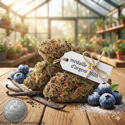 Fleur de CBD Blueberry Muffin 17% | Greenhouse