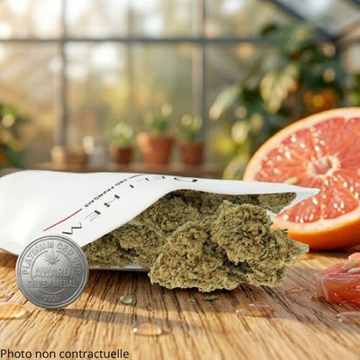  fleur greenhouse combine taux 17%, médaille d'argent Platinum CBD Cup
