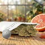  fleur greenhouse combine taux 17%, médaille d'argent Platinum CBD Cup
