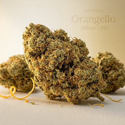 Gros plan sur une fleur de CBD Orangello Indoor aux teintes vert olive et ambrées, posée au premier plan avec deux autres bourgeons flous et des zestes d'orange en arrière-plan.