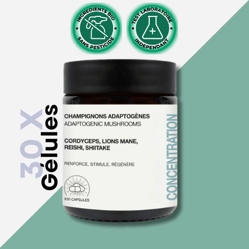 Adaptogeeniset sienet (tarkennus)