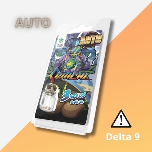 Graines Autofloraison THC de Collection | Critical Auto 3 Semences