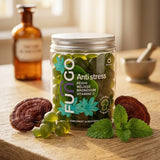 Gummies Anti-Stress Reishi Mélisse Magnésium Vitamine C | FUNGO