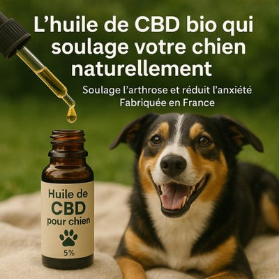 Huile de CBD pour Chien Bio | Novaloa