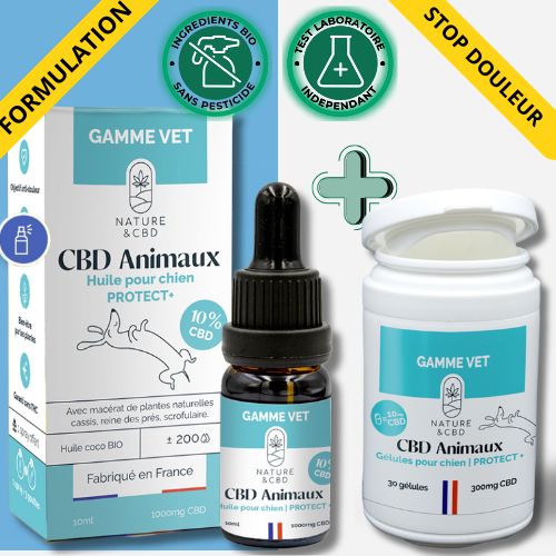 pack Huile+gélule CBD Chien Anti douleur 10% naturel