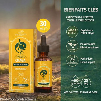 Extrait Liquide Champignon Chaga en Gouttes | MYXILLUIM