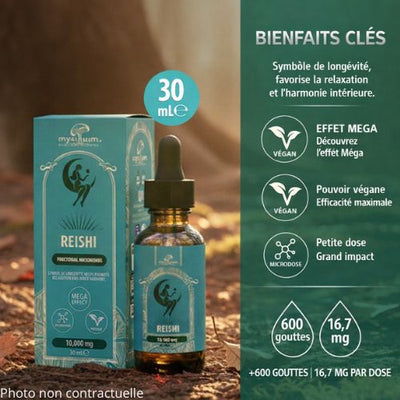 Extrait Liquide Reishi en Gouttes – Ganoderma Lucidum | MYXILLUIM