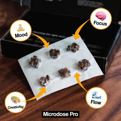 Microdosing Truffes Protocole Fadiman: Légal en Europe