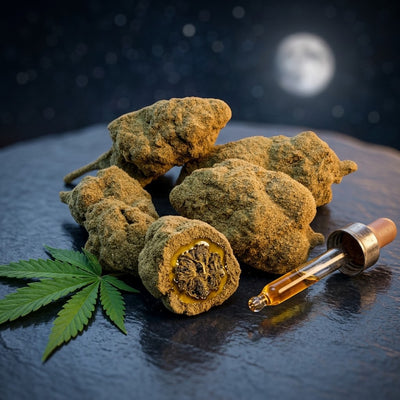 Moonrock (Roche Lunaire) coupée en deux, mettant en avant la couche d'huile et de pollen (skuff) jaune/doré, dans une ambiance premium et lunaire