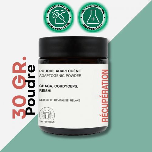 Adaptogeeniset sienet | Jauhe | Palautus 💪